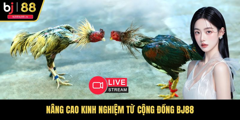 Nâng cao kinh nghiệm từ cộng đồng BJ88